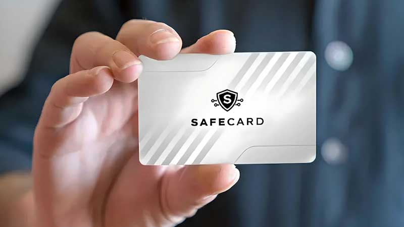 The Invisible Shield Against Credit Card and ID Theft